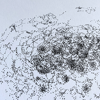 DOTS 4