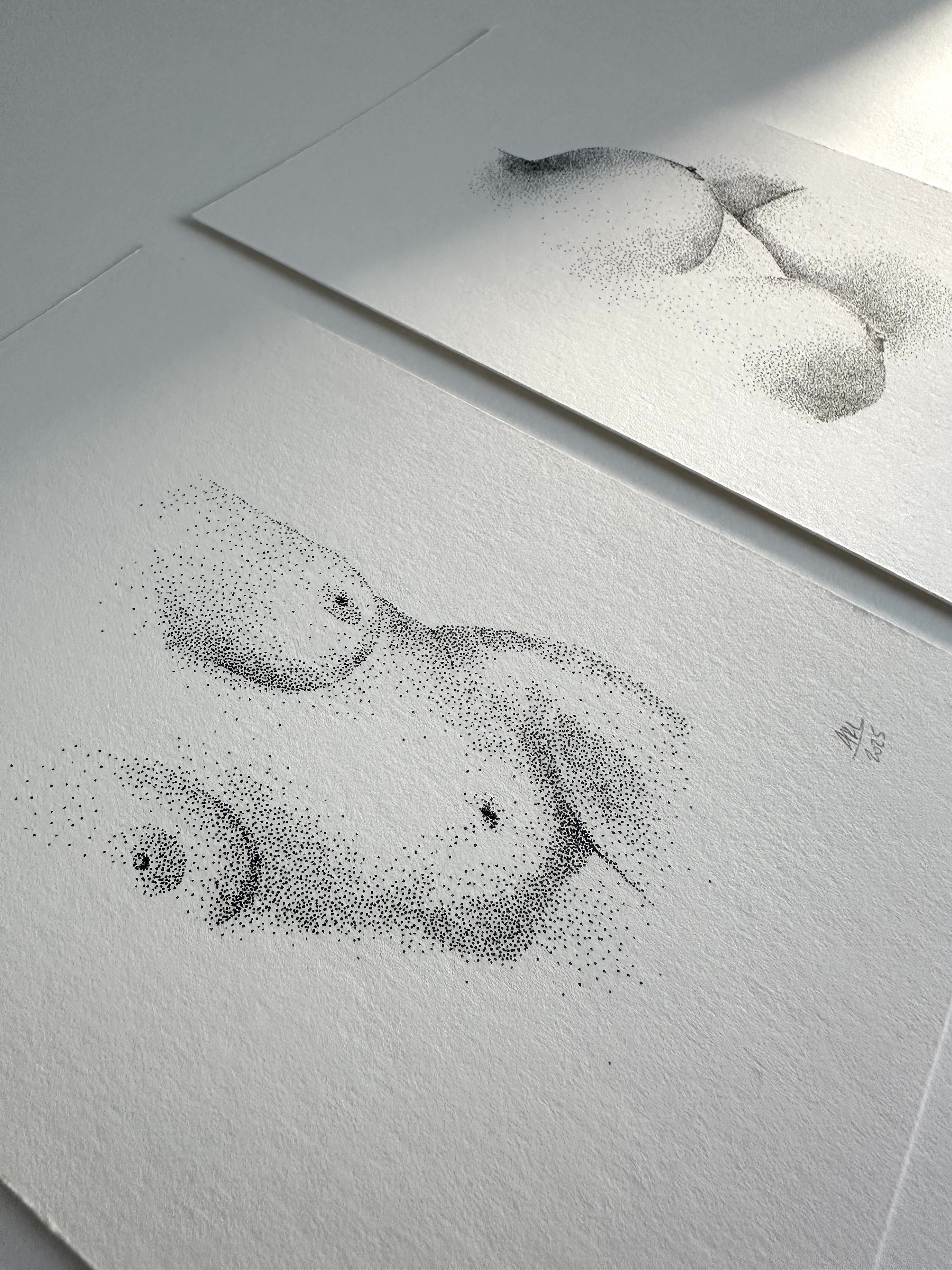 DOTS 6