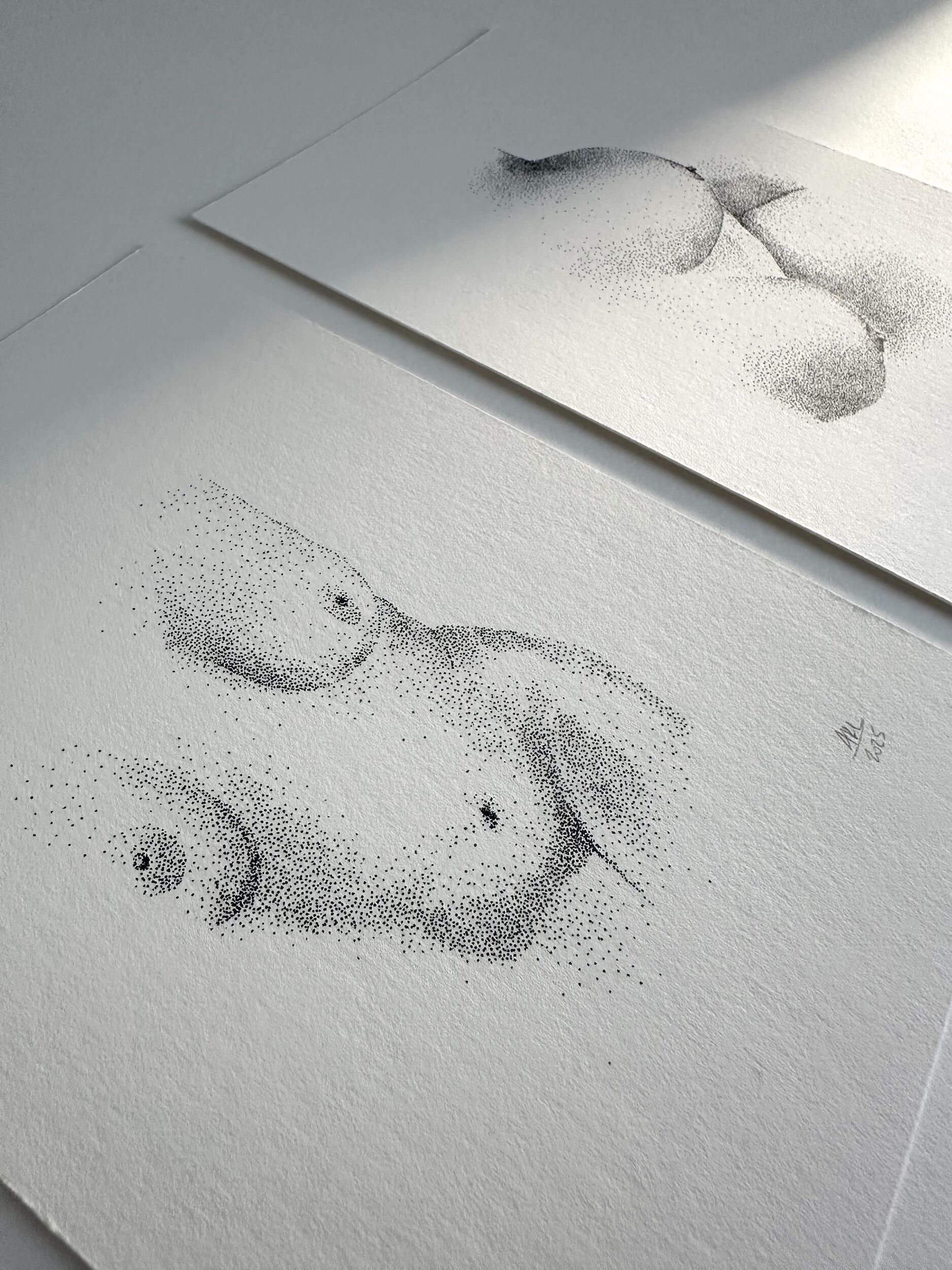 DOTS 6